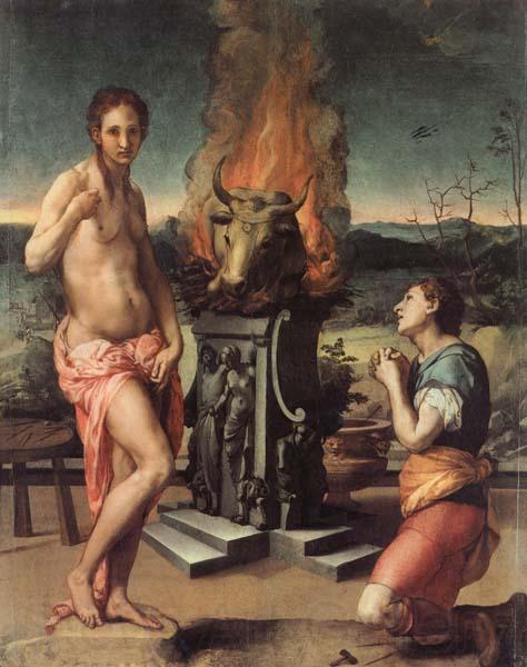 Agnolo Bronzino Pygmalion and Galatea